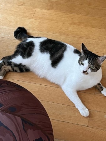 image1 image1-e1692674792184